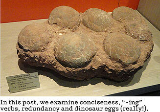 dino_eggs