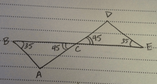 Body_diagram_2-1.png