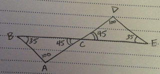 Body_diagram_3-1.png