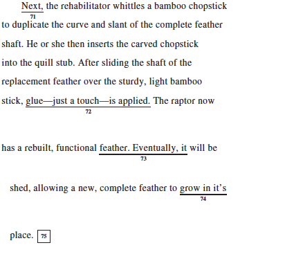Screen_shot_2015-07-18_at_11.12.11_AM.png