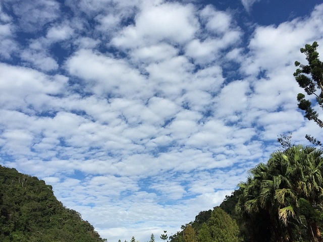How to Identify the 10 Different Types of Clouds · PrepScholar