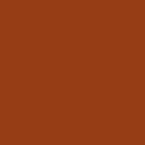 body-burnt umber