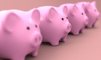 body-economy-piggy-bank-cc0