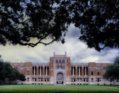 body-rice-university-houston