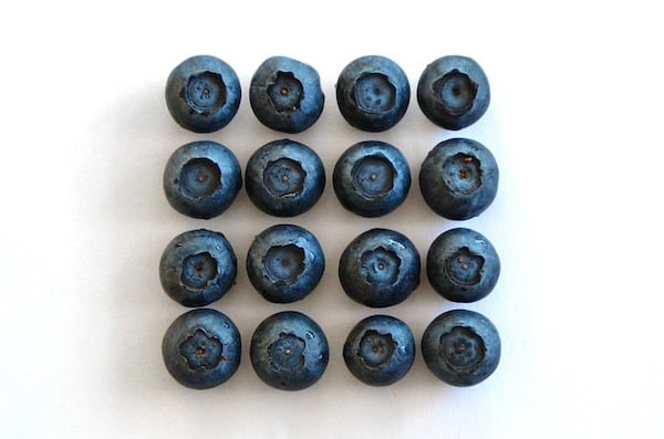 body_blueberries_pattern