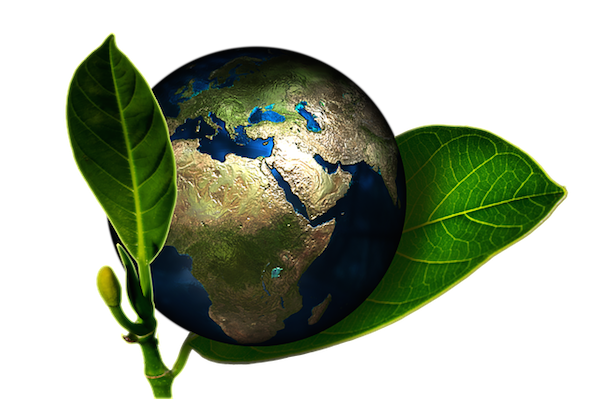 body_earth.png body_earth.png