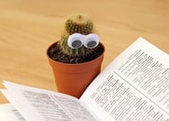 body_readingcactus