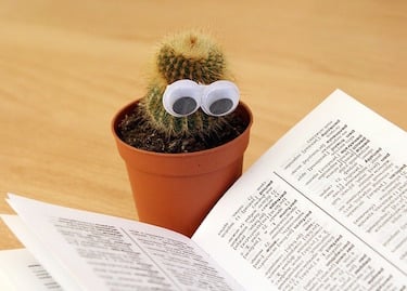 body_readingcactus