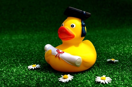 body_rubber_ducky_diploma