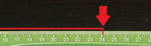 body_ruler_centimeters_sample_question
