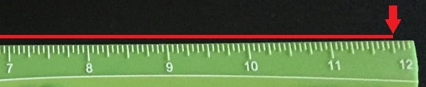 body_ruler_inches_sample_question