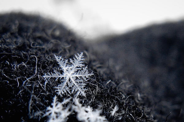 body_snowflake-1