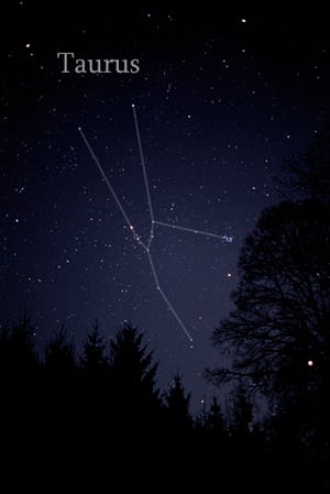 body_taurus_constellation