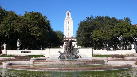 body_ut_austin-1.jpg