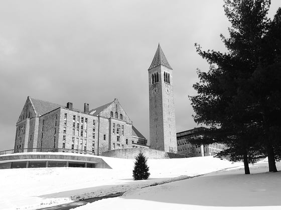 cornell-university-cc0