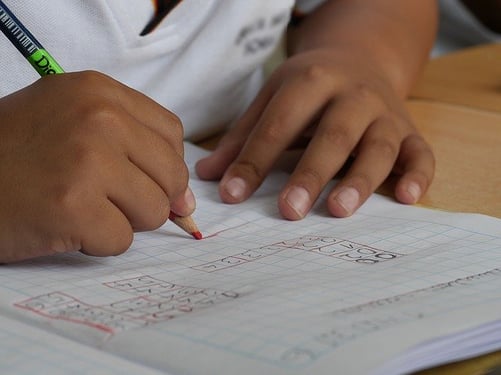 feature_child_student_test_homework