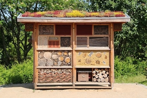 insect hotel