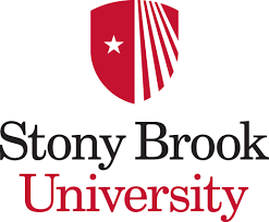 body_stony_brook.png